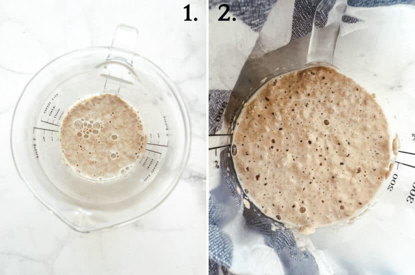 How to activate dry yeast