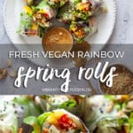 Fresh Vegan Rainbow Spring Rolls