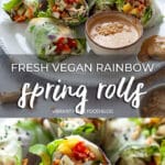 Fresh Vegan Rainbow Spring Rolls