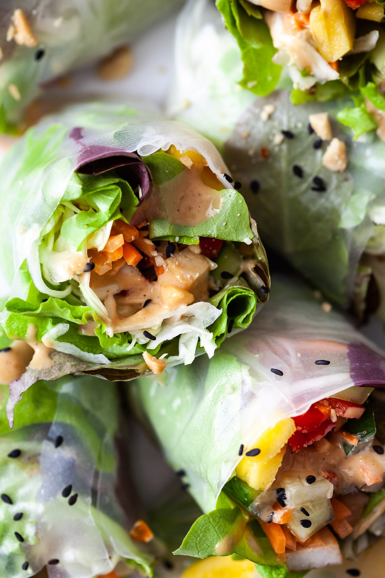 Fresh Vegan Rainbow Spring Rolls