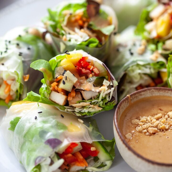 Fresh Vegan Rainbow Spring Rolls