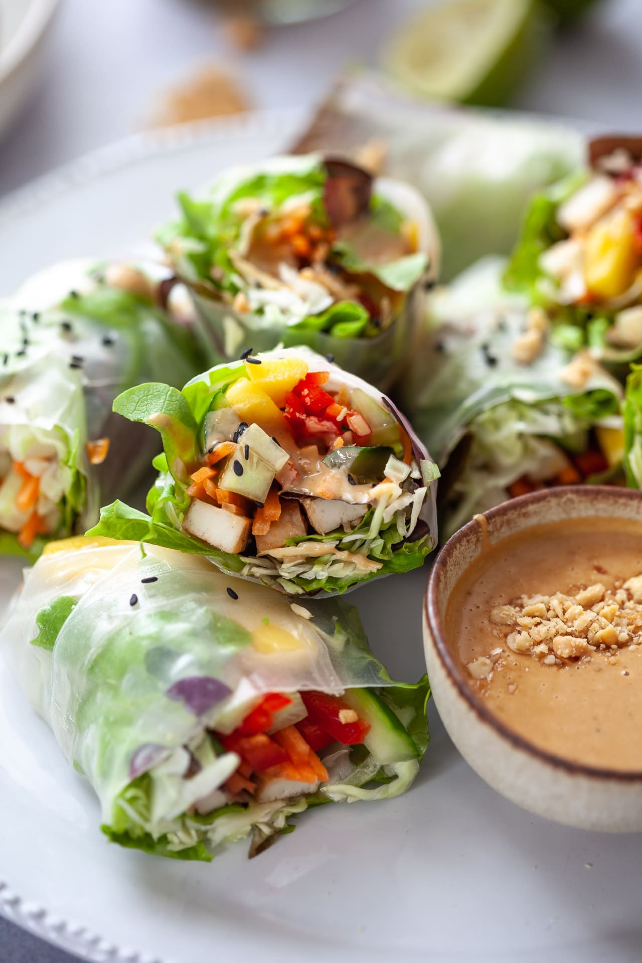 Fresh Vegan Rainbow Spring Rolls