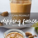 Vegan Peanut Dipping Sauce