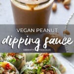 Vegan Peanut Dipping Sauce