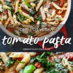 One-Pot Vegan Tomato Pasta