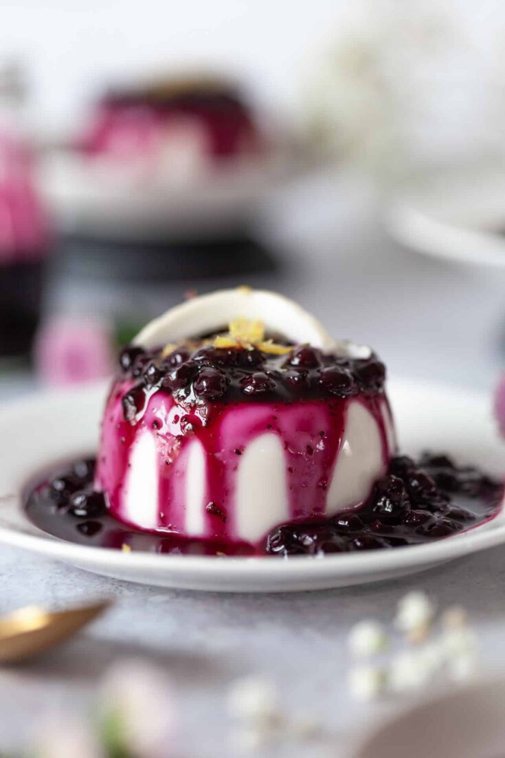 Vegan Panna Cotta with Blueberries Vibrant plate