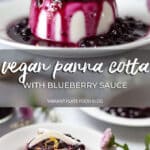 Vegan Panna Cotta with Blueberries