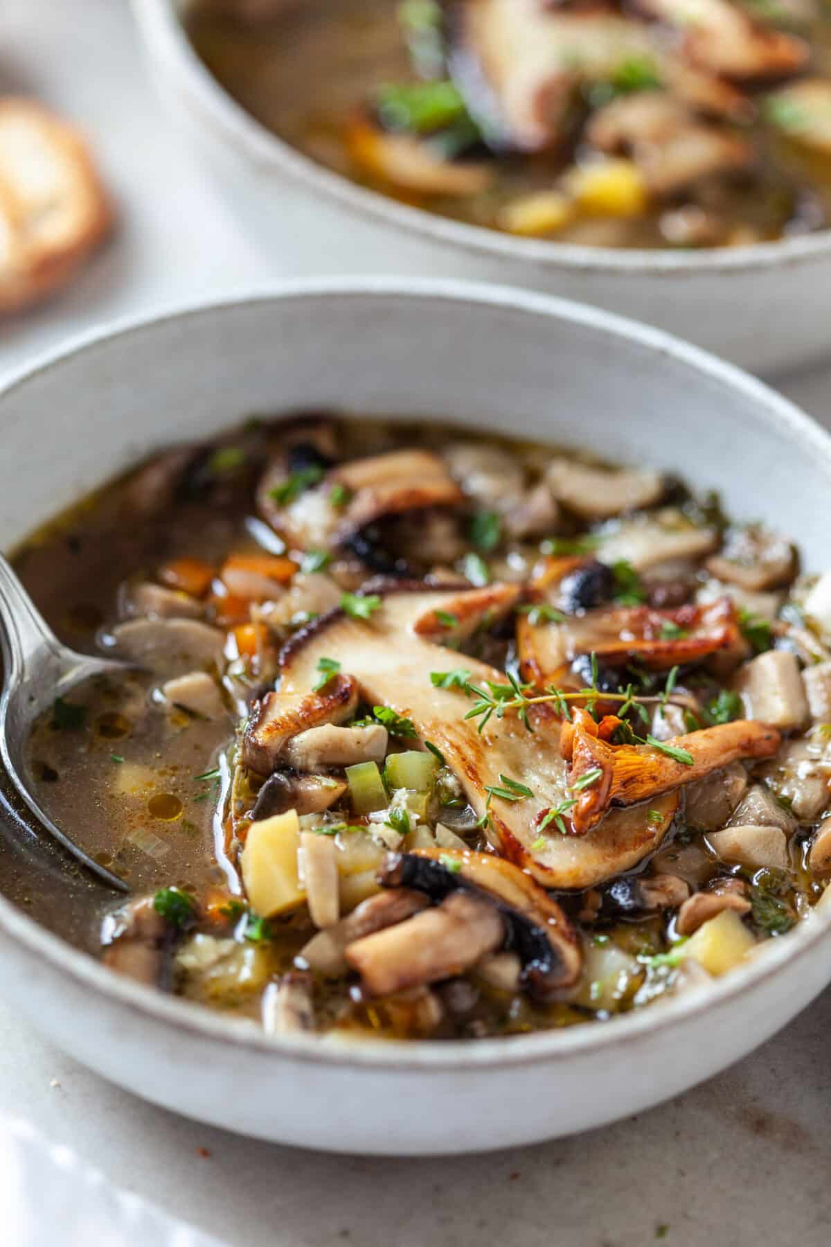 Easy Vegan Mushroom Soup - Vibrant plate