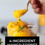 4-ingredient Mango Sorbet