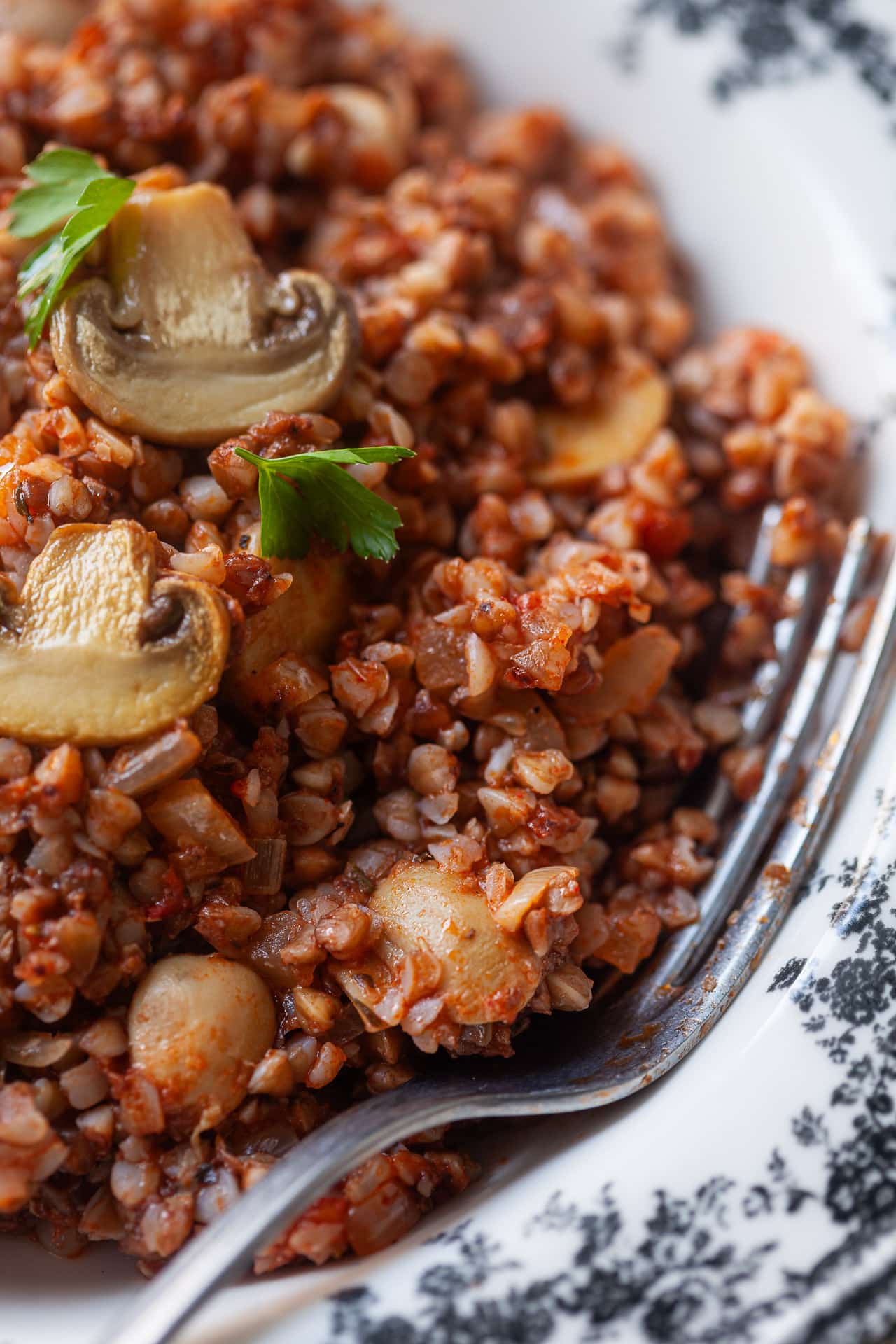 Buckwheat Kasha with Mushrooms