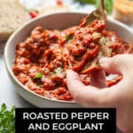 Roasted Pepper and Eggplant Spread Ajvar Recipe