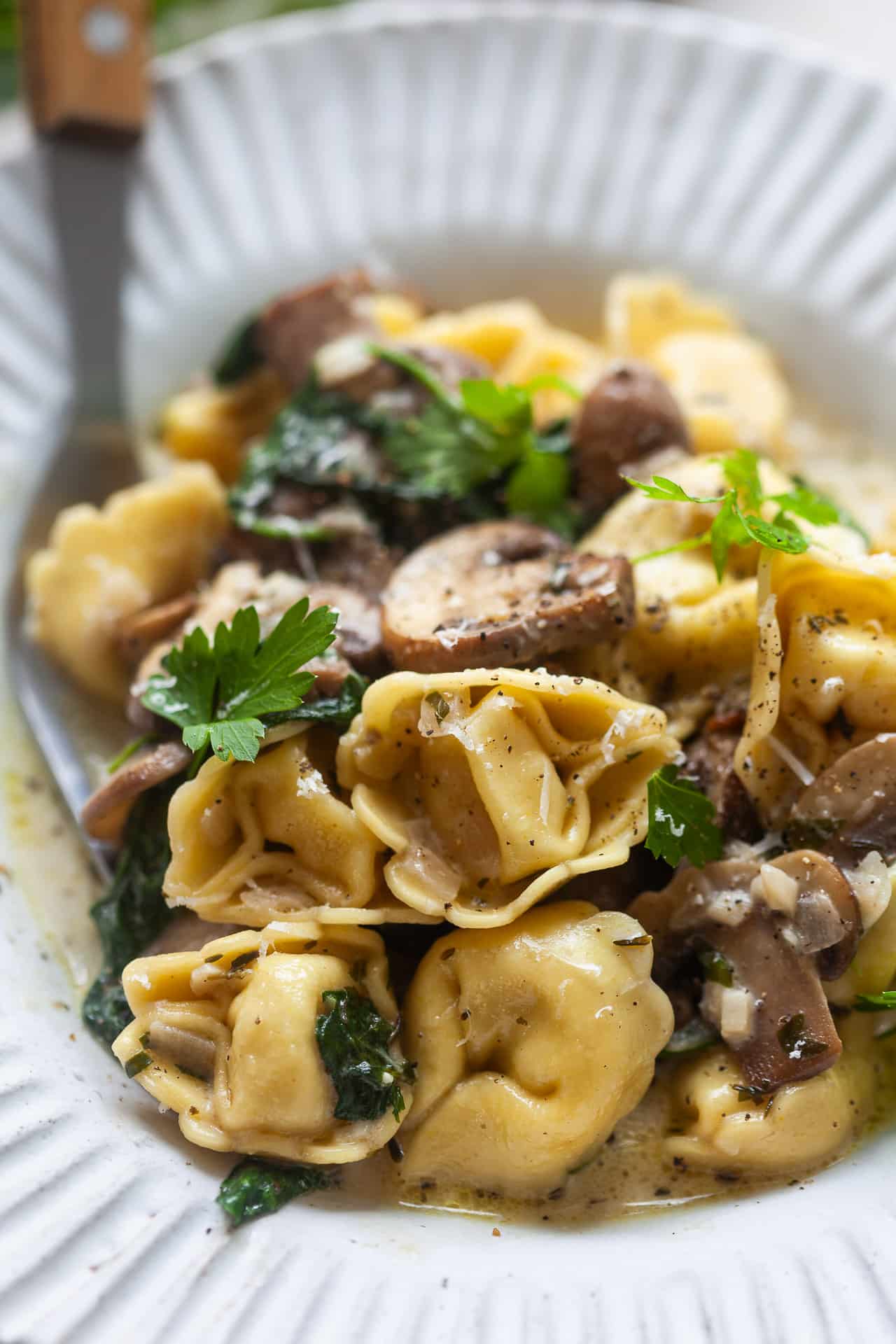One-Pot Creamy Mushroom Tortellini