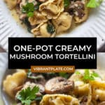 One-Pot Creamy Mushroom Tortellini Recipe