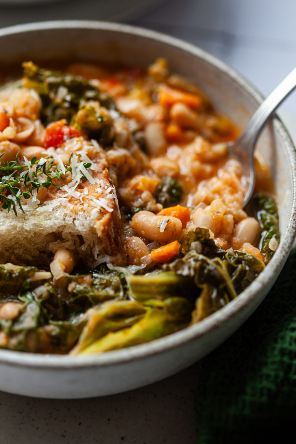 Tuscan Ribollita Soup - Vibrant plate