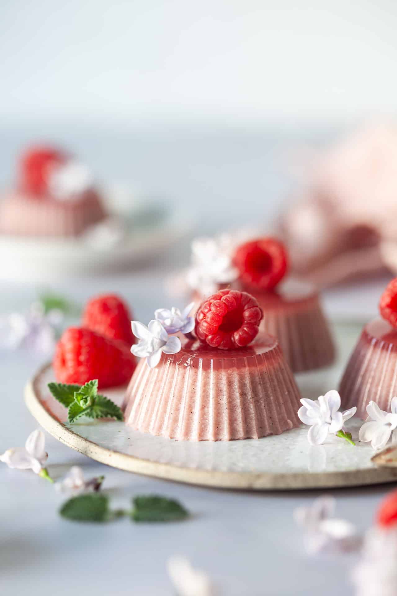 Vegan Raspberry Panna Cotta Recipe