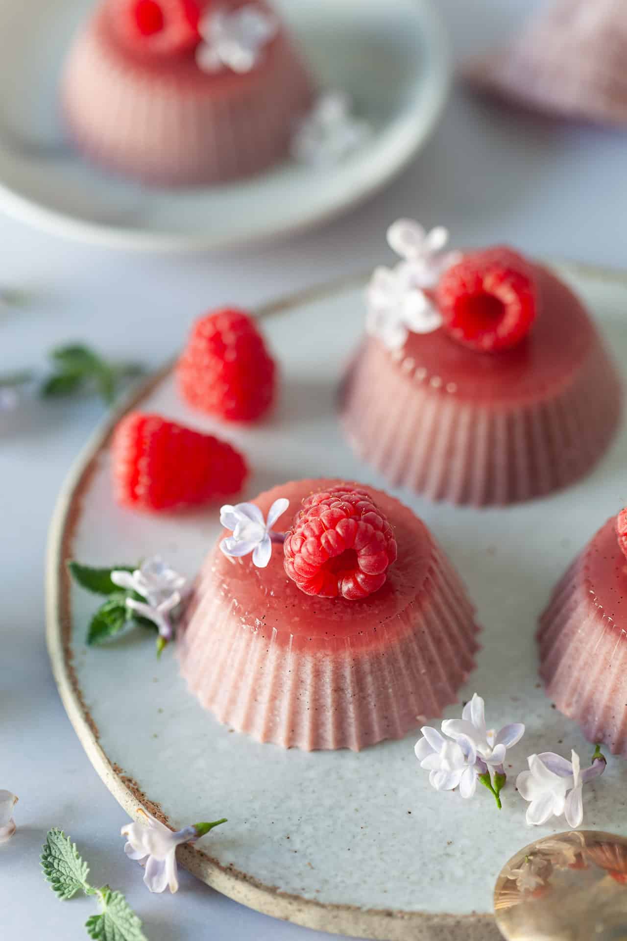 Vegan Raspberry Panna Cotta Recipe