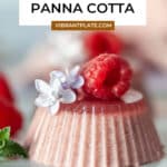 Vegan Raspberry Panna Cotta Recipe