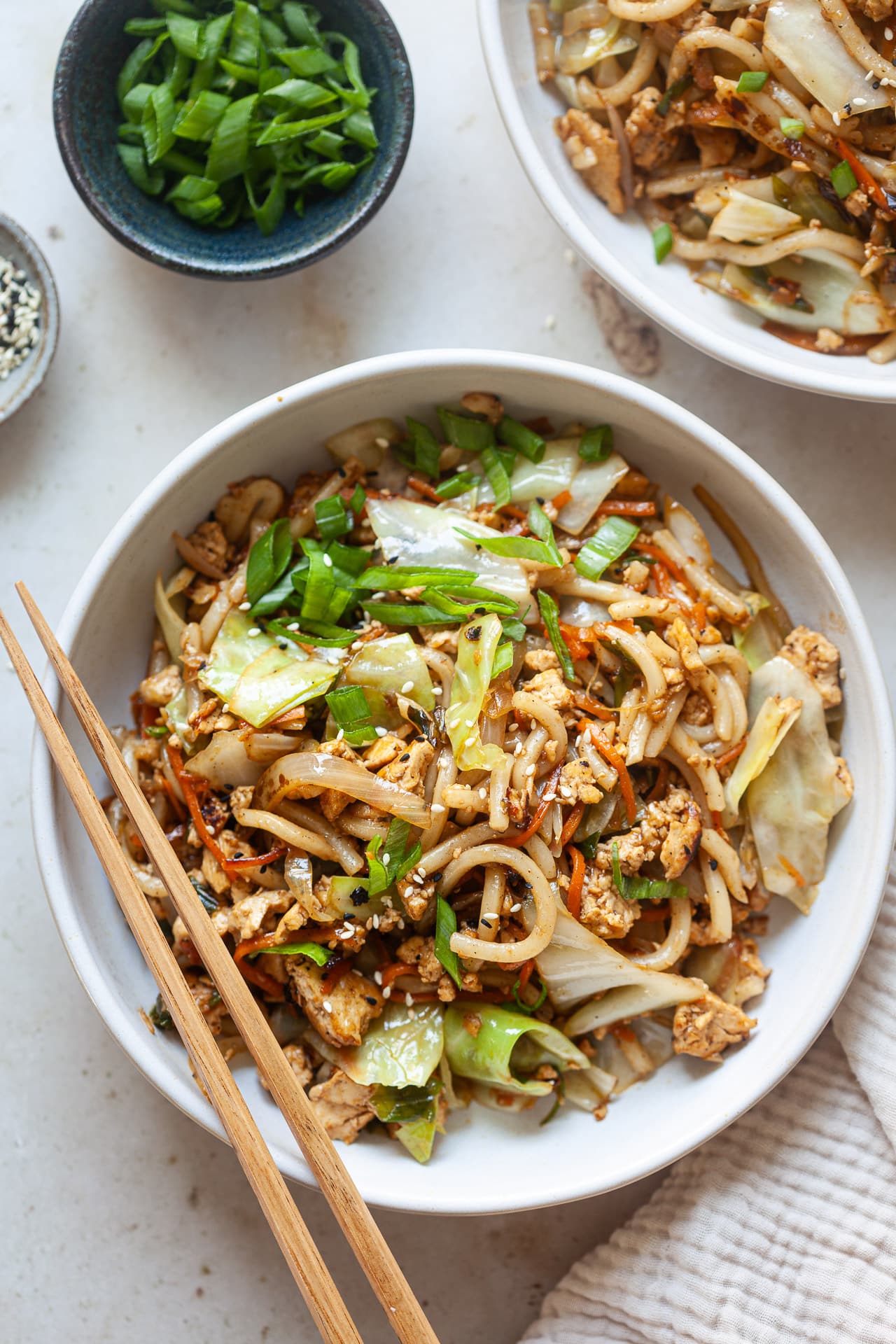 Vegan Yaki Udon Noodles
