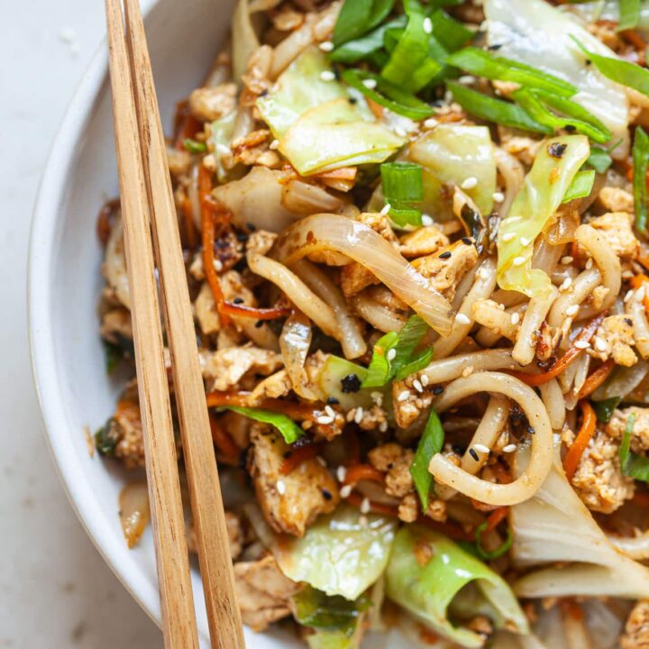 Vegan Yaki Udon Noodles