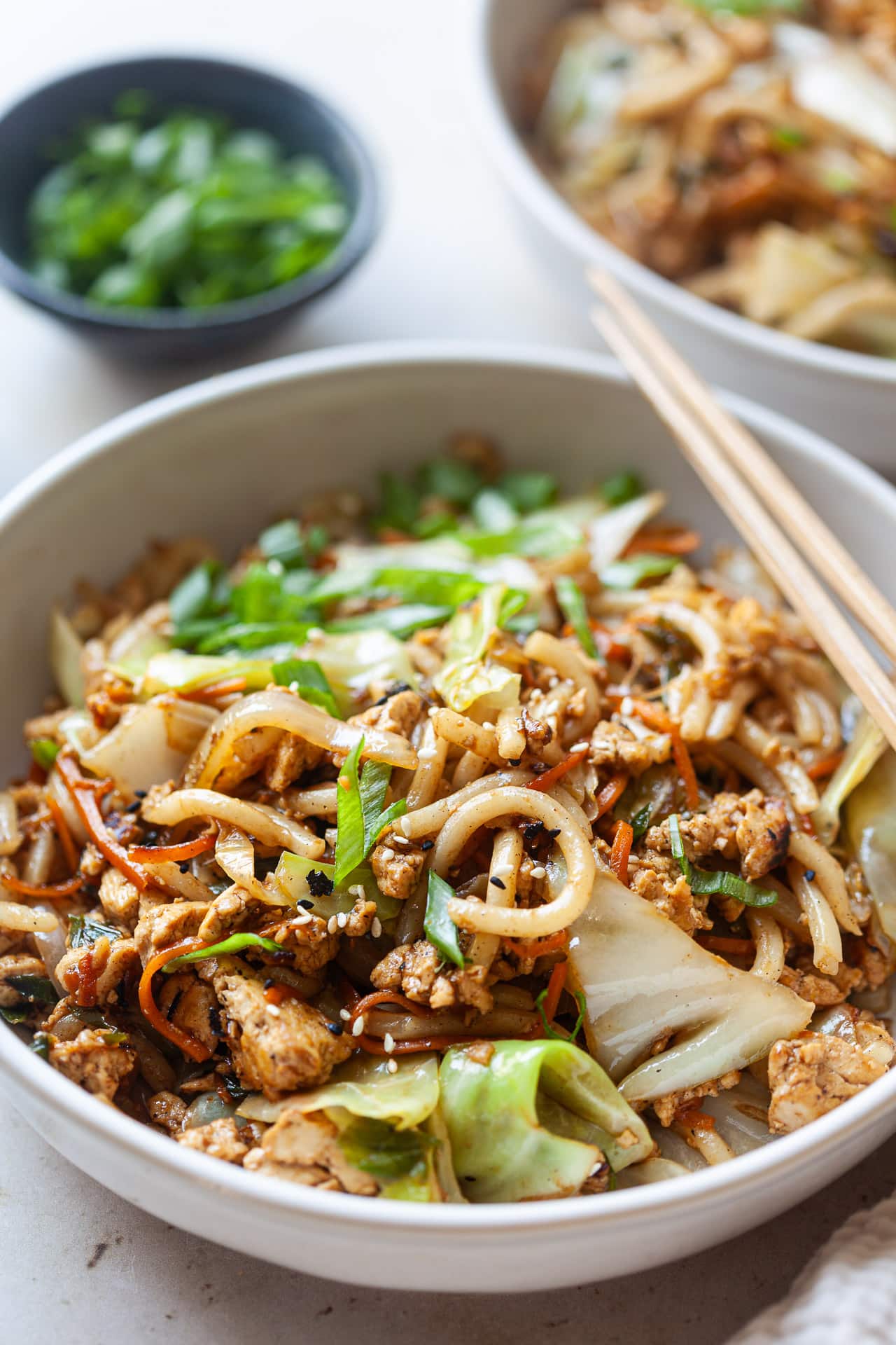 Vegan Yaki Udon Noodles