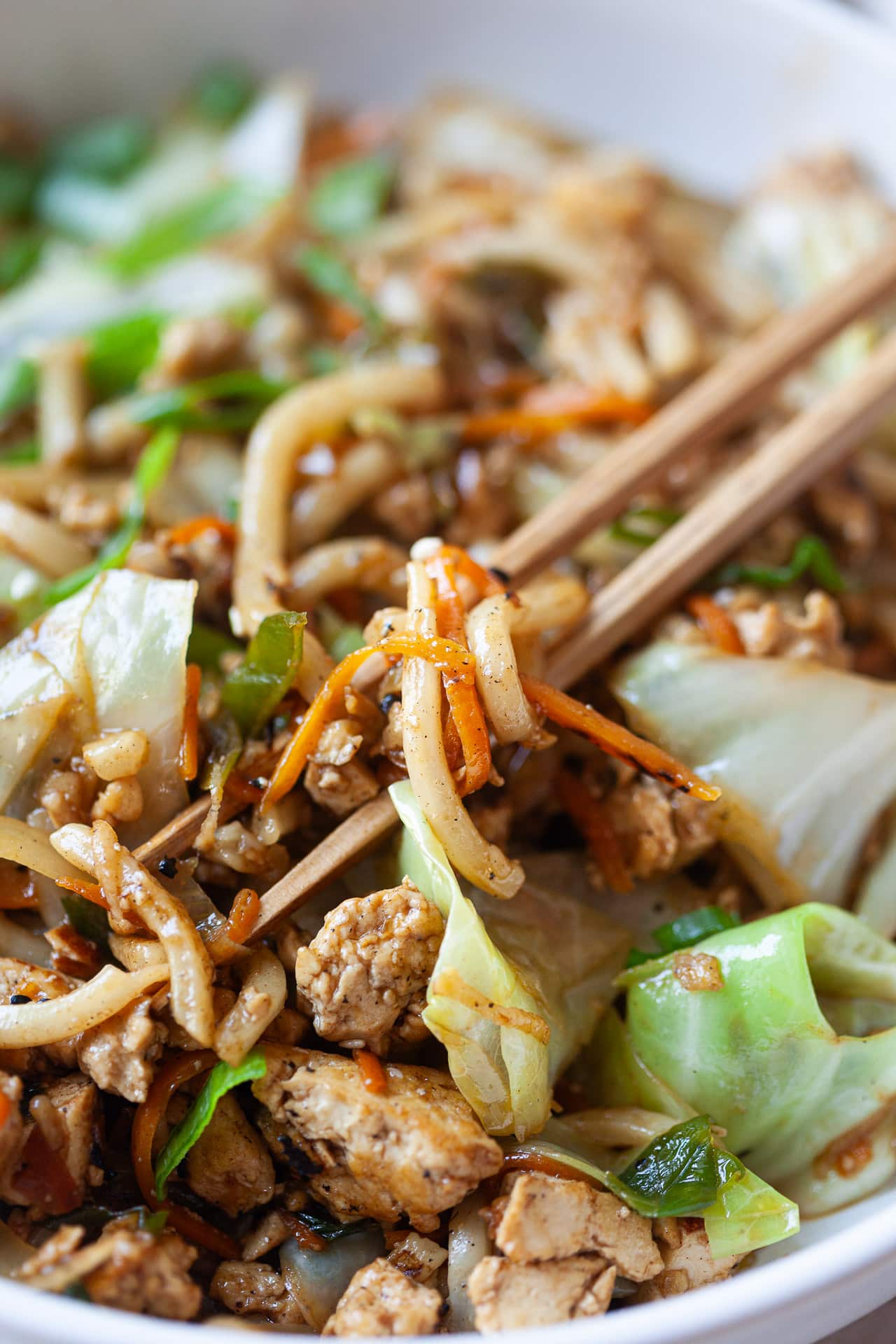 Vegan Yaki Udon Noodles