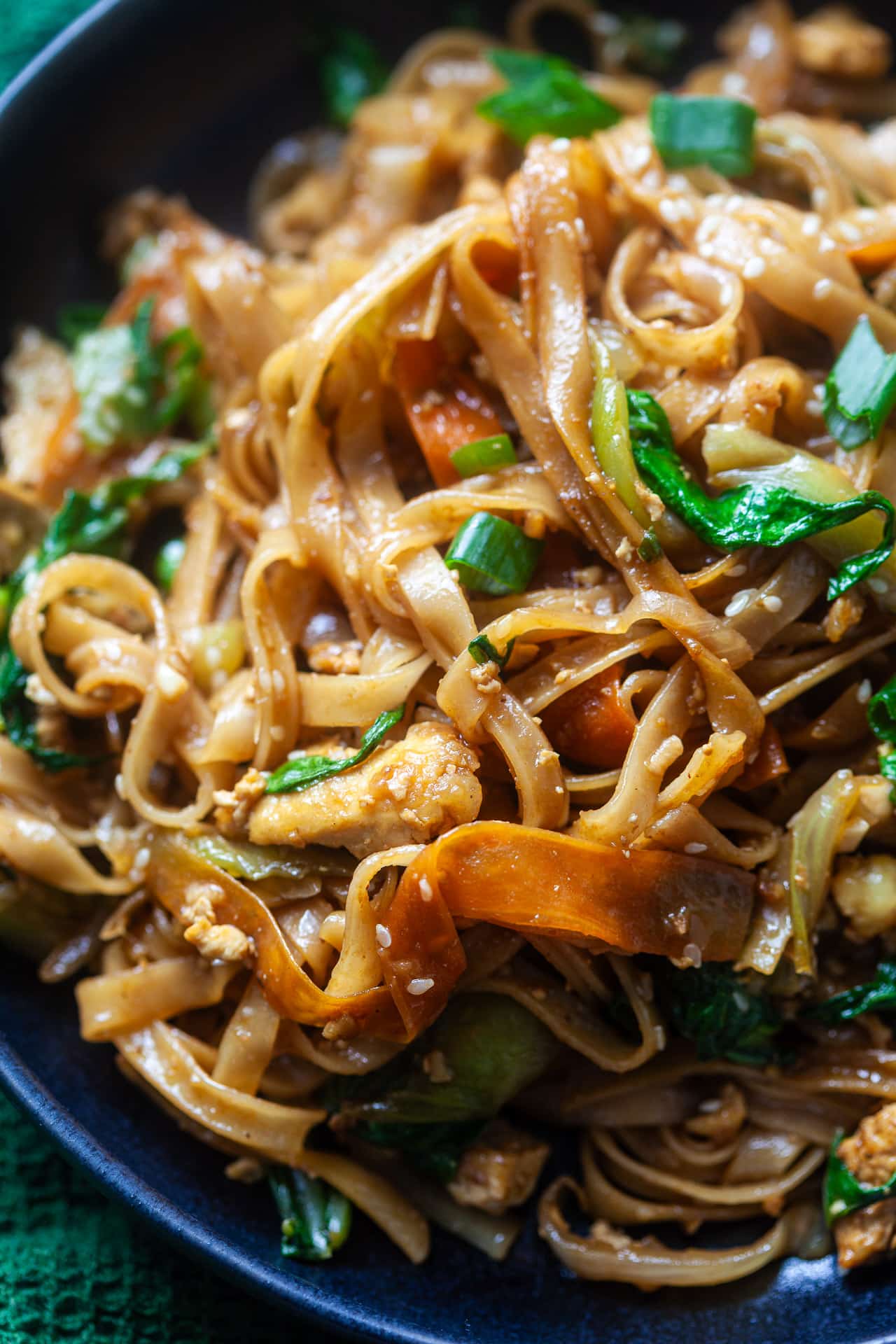 Vegan Stir-Fried Rice Noodles with Tofu