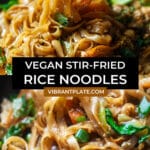 Vegan Stir-Fried Rice Noodles with Tofu