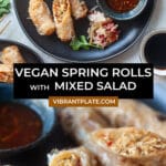 Vegan Spring Rolls with Mixed Salad