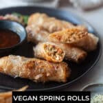 Vegan Spring Rolls with Mixed Salad