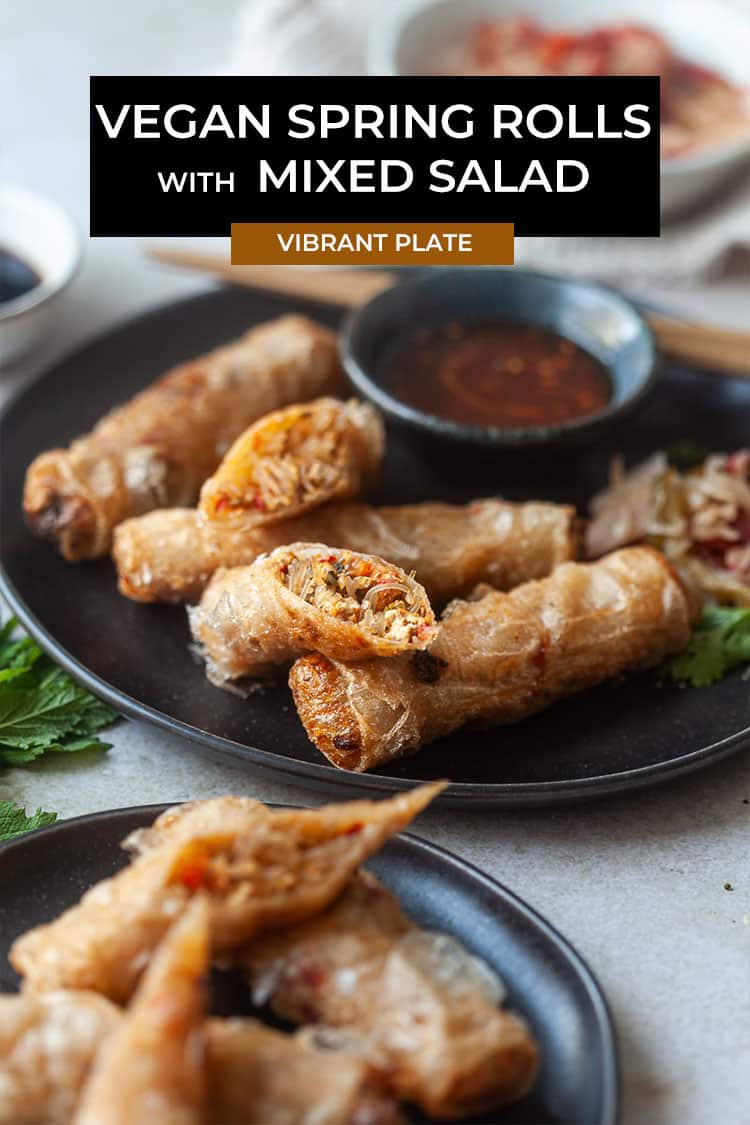 Vegan Spring Rolls with Mixed Salad - Vibrant plate