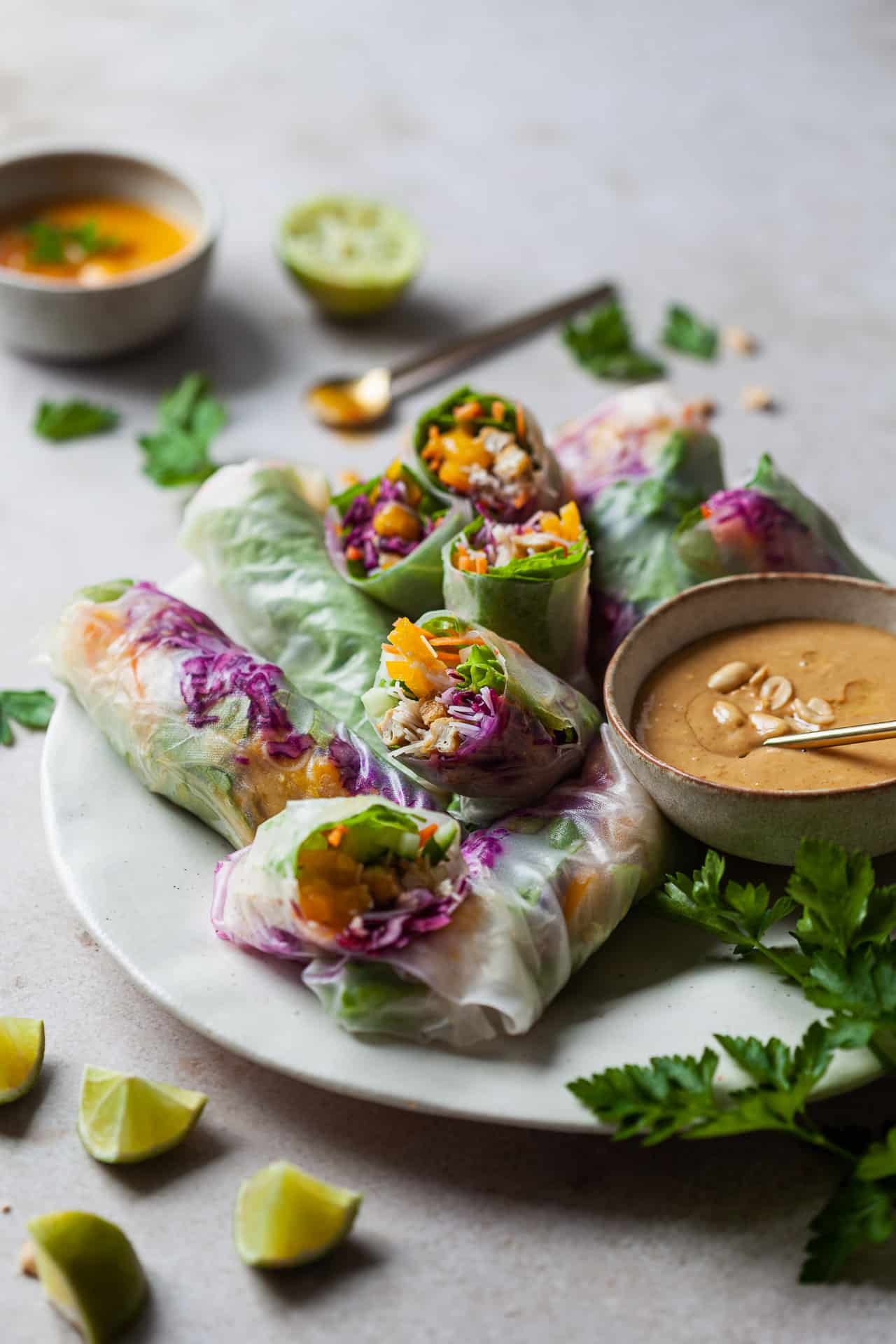 Easy Vegan Summer Rolls