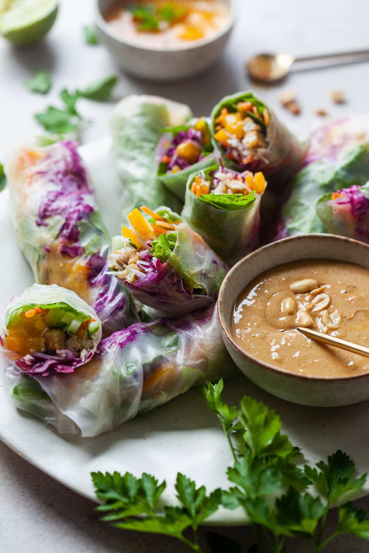 Easy Vegan Summer Rolls