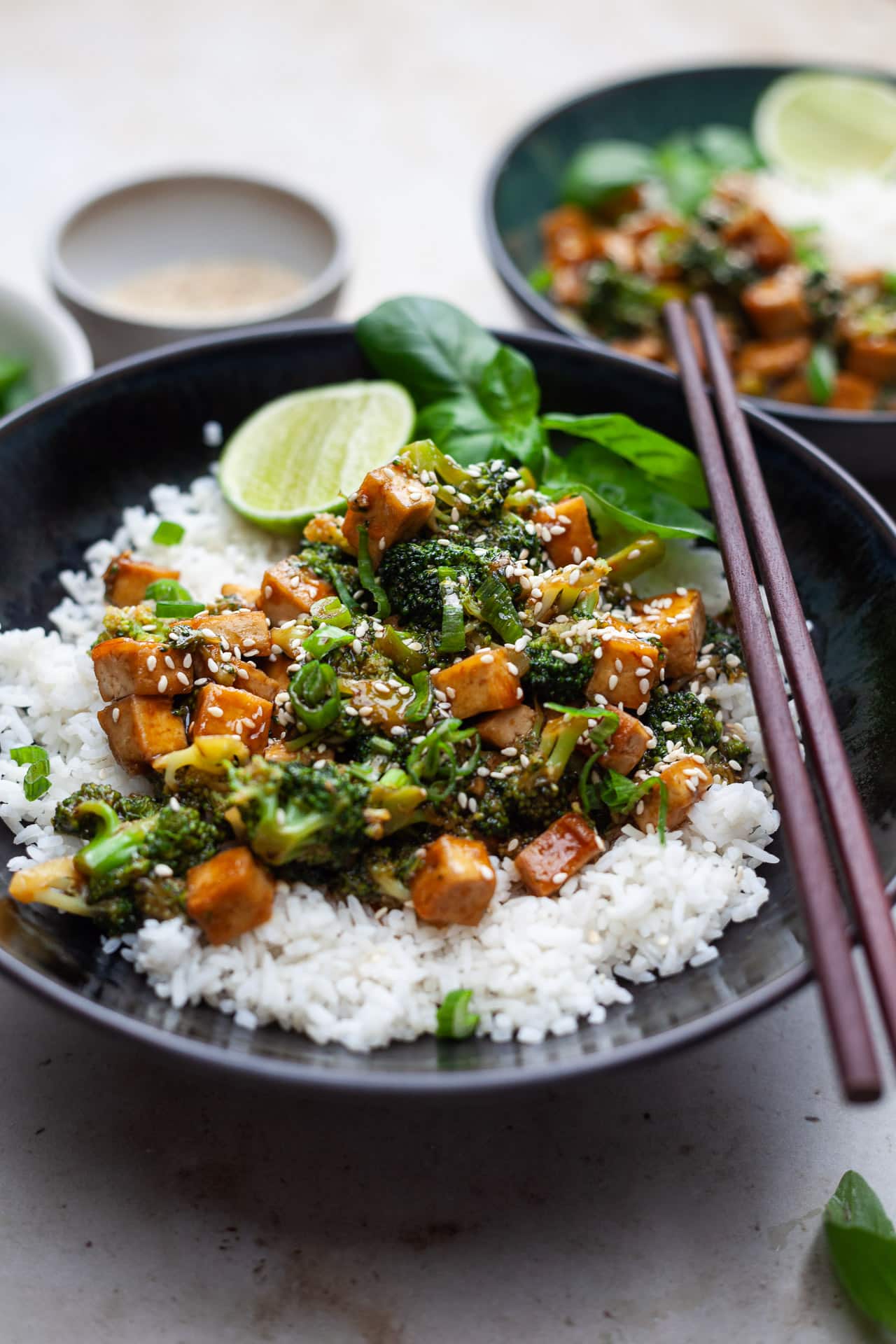 Vegan Teriyaki Tofu and Broccoli