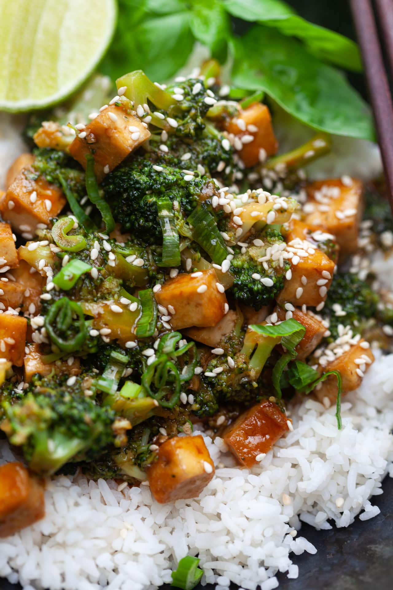 Vegan Teriyaki Tofu and Broccoli
