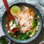 Vegan Thai Noodle Soup