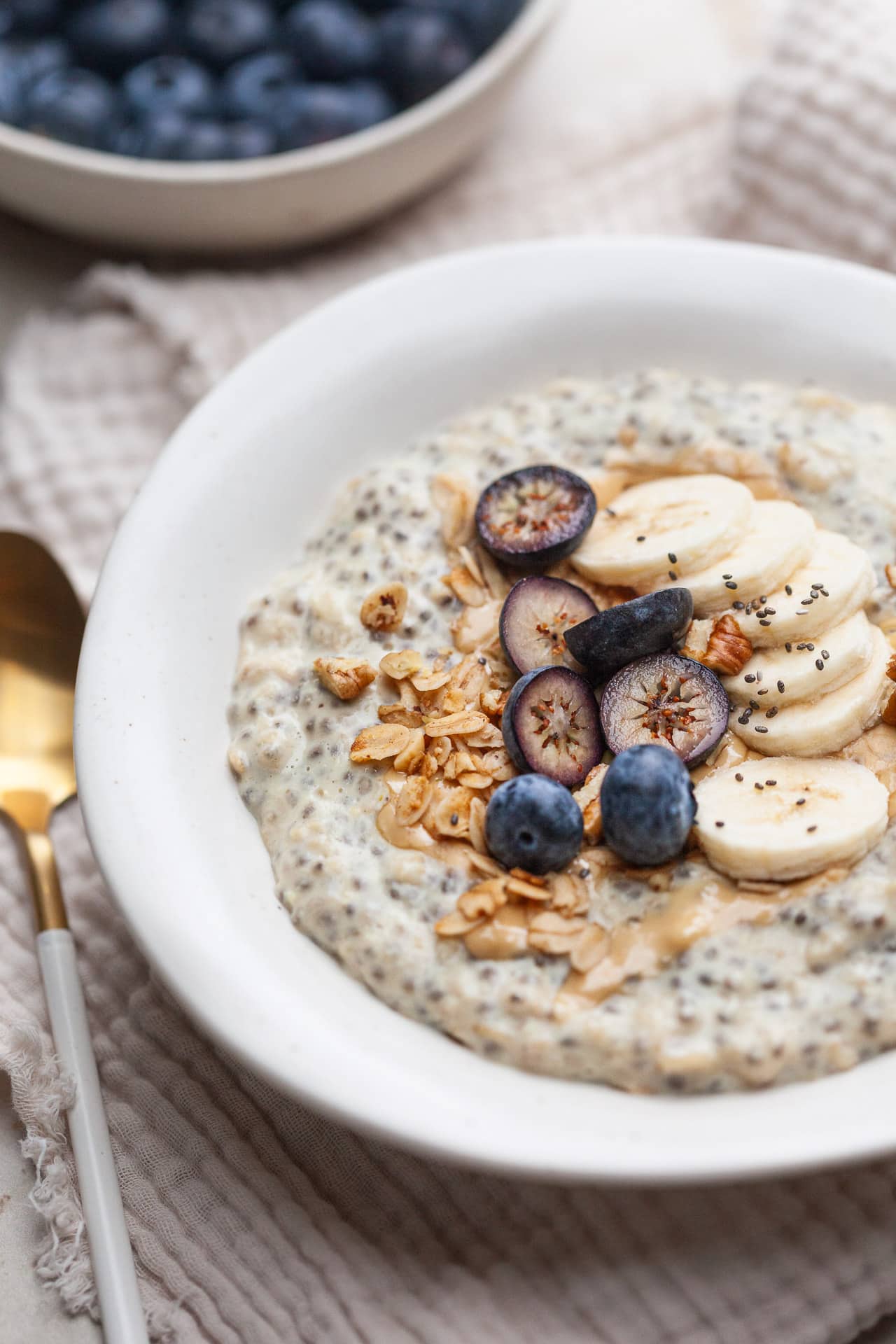 Dairy-Free Protein Oatmeal